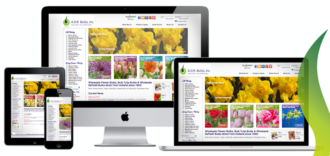 Order online at ADR Flowerbulbs